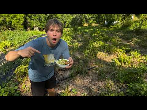 Protein Bowl With Fresh Garden Potatoes — video thumbnail